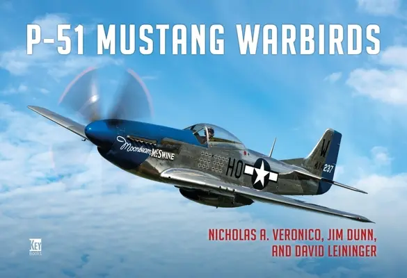 Oiseaux de guerre P-51 Mustang - P-51 Mustang Warbirds