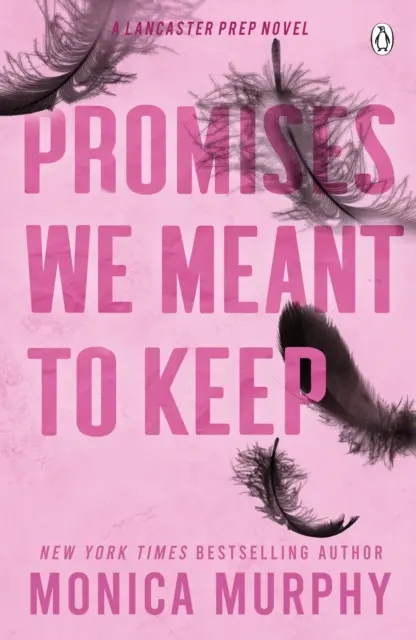 Promesses que nous voulions tenir - La sensation TikTok émotionnellement captivante et digne d'une pâmoison - Promises We Meant To Keep - The emotionally gripping and swoon-worthy TikTok sensation