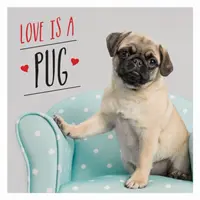 L'amour est un carlin - Une célébration carlinastique des chiens les plus mignons du monde - Love is a Pug - A Pugtastic Celebration of The World's Cutest Dogs