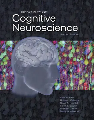 Principes des neurosciences cognitives - Principles of Cognitive Neuroscience