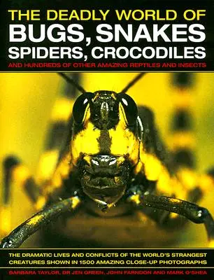 Le monde mortel des insectes, serpents, araignées, crocodiles : Et des centaines d'autres reptiles et insectes étonnants - The Deadly World of Bugs, Snakes, Spiders, Crocodiles: And Hundreds of Other Amazing Reptiles and Insects