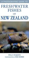 Guide photographique des poissons d'eau douce de Nouvelle-Zélande - Photographic Guide To Freshwater Fishes Of New Zealand