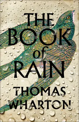 Le livre de la pluie - Book of Rain