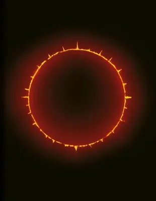 Chambre noire - Dark Room