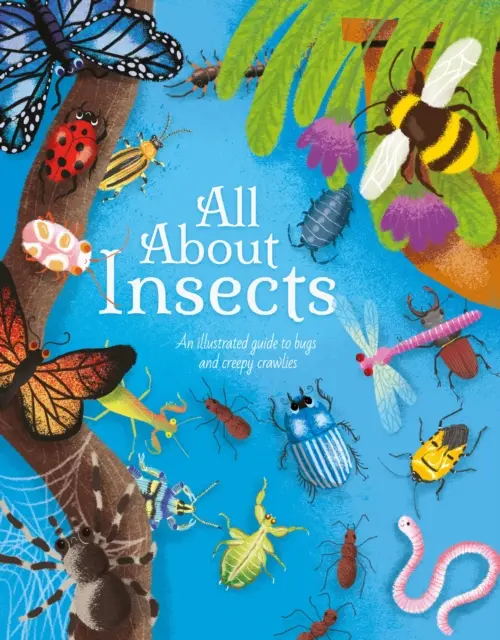 Tout sur les insectes - Un guide illustré des bestioles et des bestioles rampantes - All About Insects - An illustrated guide to bugs and creepy-crawlies