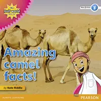 Mon Monde du Golfe et moi, niveau 3, lecteur d'ouvrages non romanesques : Des faits étonnants sur les chameaux&nbsp;! - My Gulf World and Me Level 3 non-fiction reader: Amazing camel facts!