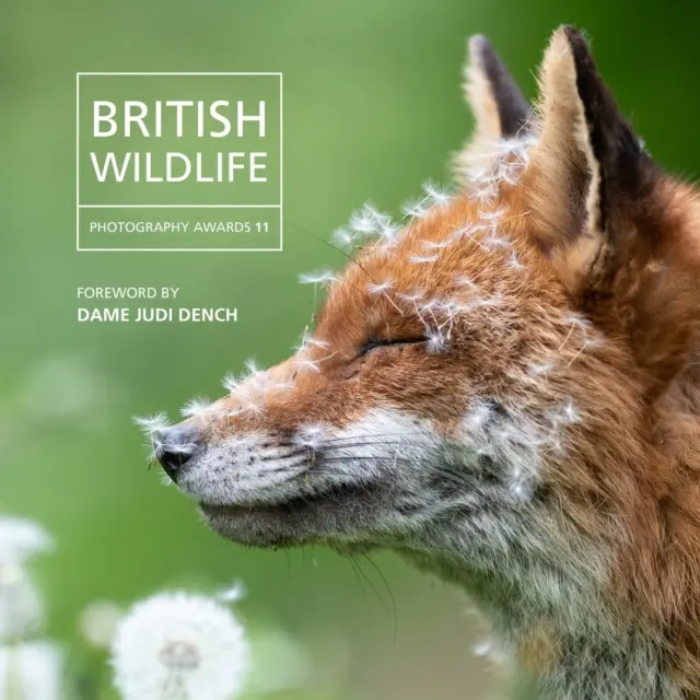 Prix britanniques de la photographie animalière 2023 - British Wildlife Photography Awards 2023