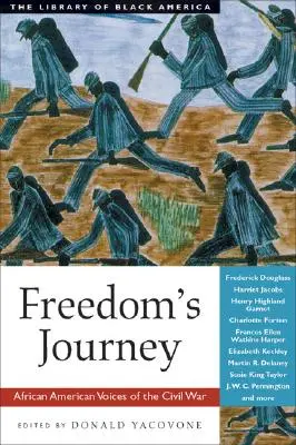 Le voyage de la liberté : Les voix afro-américaines de la guerre civile - Freedom's Journey: African American Voices of the Civil War