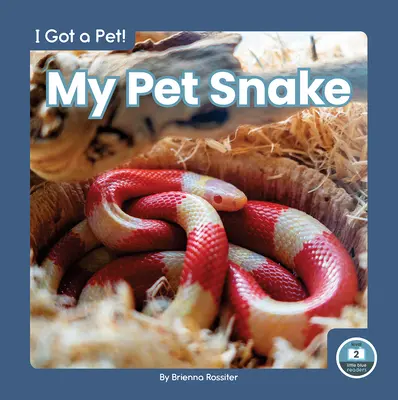 Mon serpent - My Pet Snake