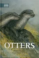 Loutres - Otters