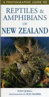 Guide photographique des reptiles et amphibiens de Nouvelle-Zélande - Photographic Guide To Reptiles & Amphibians Of New Zealand