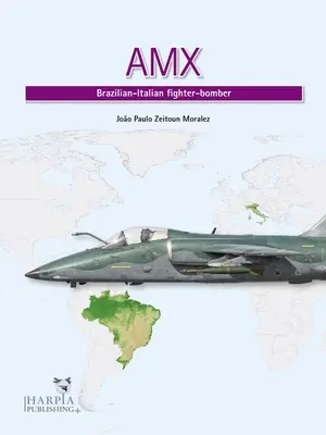 Amx : Chasseur-bombardier italo-brésilien - Amx: Brazilian-Italian Fighter-Bomber