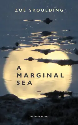 Une mer marginale - A Marginal Sea