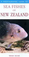 Guide photographique des poissons de mer de Nouvelle-Zélande - Photographic Guide To Sea Fishes Of New Zealand