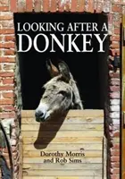 S'occuper d'un âne - Looking After a Donkey