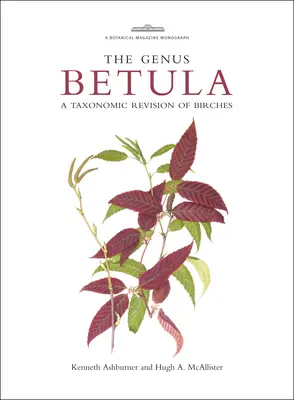 Le genre Betula : une révision taxonomique des bouleaux - The Genus Betula: A Taxonomic Revision of Birches