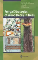 Stratégies fongiques de décomposition du bois dans les arbres - Fungal Strategies of Wood Decay in Trees