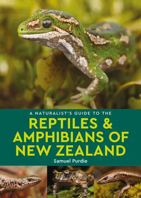 Guide naturaliste des reptiles et amphibiens de Nouvelle-Zélande - A Naturalist's Guide to the Reptiles & Amphibians of New Zealand