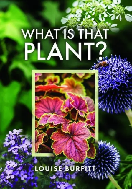 Quelle est cette plante ? - What Is That Plant?