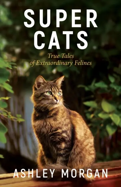 Super Cats : Les histoires vraies de félins extraordinaires - Super Cats: True Tales of Extraodinary Felines