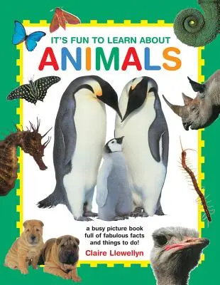 C'est amusant d'apprendre à connaître les animaux : Un livre d'images amusant, plein de faits fabuleux et de choses à faire ! - It's Fun to Learn about Animals: A Busy Picture Book Full of Fabulous Facts and Things to Do!