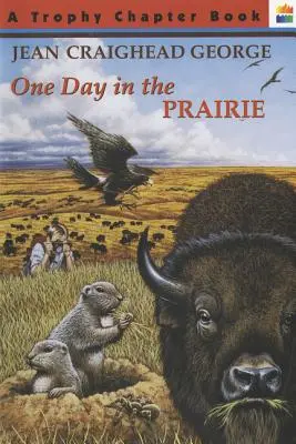 Un jour dans la prairie - One Day in the Prairie