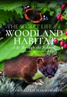 La vie secrète d'un habitat forestier : La vie au fil des saisons - The Secret Life of a Woodland Habitat: Life Through the Seasons