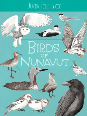 Guide de terrain junior : Oiseaux du Nunavut : Édition anglaise - Junior Field Guide: Birds of Nunavut: English Edition