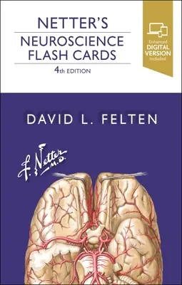 Netter's Neuroscience Flash Cards (en anglais) - Netter's Neuroscience Flash Cards