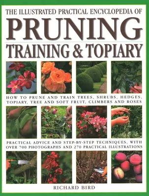 Encyclopédie pratique illustrée de la taille, du dressage et de l'art topiaire : Comment tailler et former les arbres, les arbustes, les haies, les topiaires, les arbres et les fruits tendres, la grimpe - Illustrated Practical Encyclopedia of Pruning, Training and Topiary: How to Prune and Train Trees, Shrubs, Hedges, Topiary, Tree and Soft Fruit, Climb