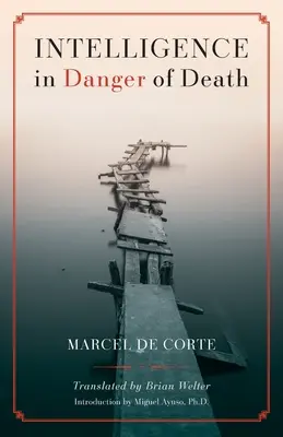 L'intelligence en danger de mort (édition anglaise) - Intelligence in Danger of Death (English edition)