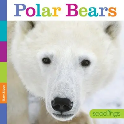 Jeunes pousses : Ours polaires - Seedlings: Polar Bears