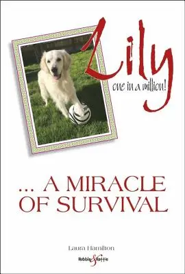 Lily : une chance sur un million : ... un miracle de survie - Lily: One in a Million: ... a Miracle of Survival