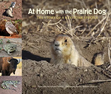 Chez soi avec le chien de prairie : L'histoire d'une espèce clé - At Home with the Prairie Dog: The Story of a Keystone Species