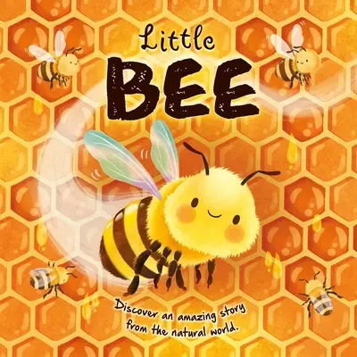 Histoires de la nature : Petite abeille : Livre de la nature : Petite abeille : Livre de la nature - Nature Stories: Little Bee: Padded Board Book