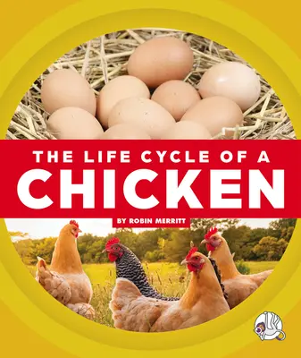 Le cycle de vie d'un poulet - The Life Cycle of a Chicken