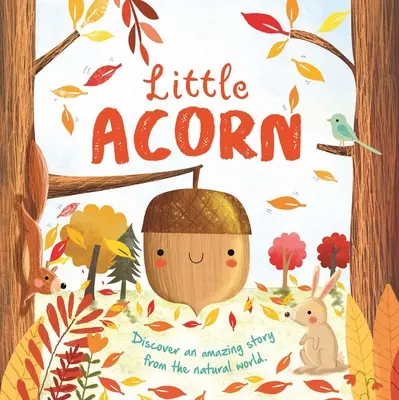 Histoires de la nature : Petit gland : Livre de bord rembourré - Nature Stories: Little Acorn: Padded Board Book