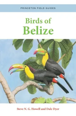 Les oiseaux du Belize - Birds of Belize
