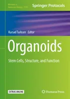 Organoïdes : Cellules souches, structure et fonction - Organoids: Stem Cells, Structure, and Function