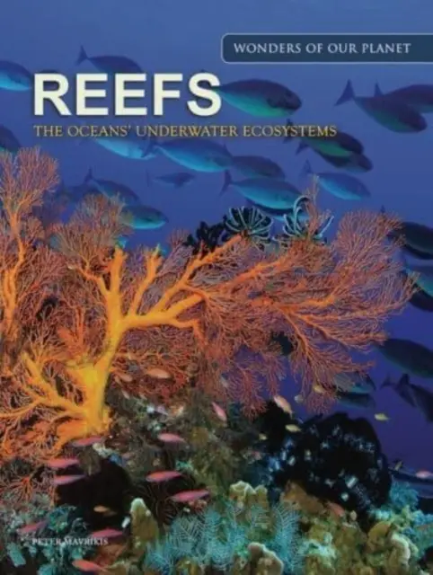 Les récifs : L'écosystème sous-marin des océans - Reefs: The Oceans' Underwater Ecosystem