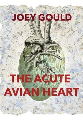 Le cœur aigu de l'oiseau - The Acute Avian Heart
