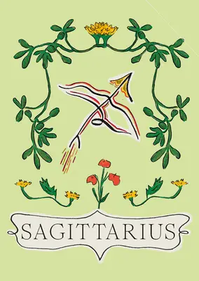 Sagittaire - Sagittarius