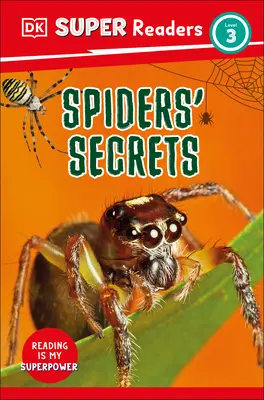 DK Super Lecteurs Niveau 3 Les secrets des araignées - DK Super Readers Level 3 Spiders' Secrets