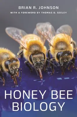 Biologie de l'abeille domestique - Honey Bee Biology