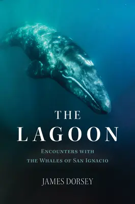 Le lagon : Rencontres avec les baleines de San Ignacio - The Lagoon: Encounters with the Whales of San Ignacio