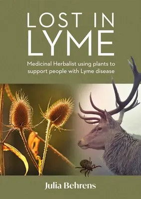 Lost in Lyme : L'usage thérapeutique des plantes médicinales dans le soutien aux personnes atteintes de la maladie de Lyme - Lost in Lyme: The Therapeutic Use of Medicinal Plants in Supporting People with Lyme Disease