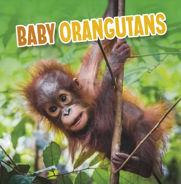 Bébés orangs-outans - Baby Orangutans