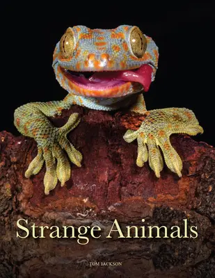 Animaux étranges - Strange Animals