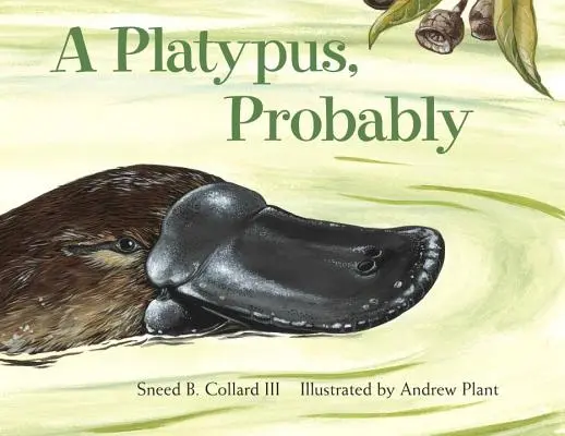 Un ornithorynque, probablement - A Platypus, Probably