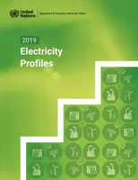 Profils électriques 2019 - 2019 electricity profiles